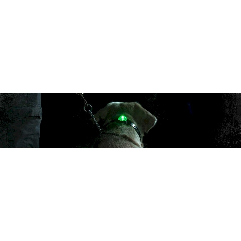 Dog Collar LED Light SportDog Locator Beacon